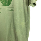 Old Navy Sage Green Heatwaves and Desert Days Tee- Size XL (see notes)