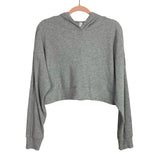 Alo Yoga Heather Gray Ribbed Cropped Hooded Sweatshirt- Size S (we have matching joggers)