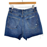 Lovers and Friends Distressed Jean Shorts- Size 28