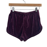 Brandy Melville Velvet Shorts- One Size (Fit XS/S)