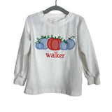 Cecil And Lou Walker Pumpkin Top + Light Blue Gingham Pants Set - Size 2T (See Notes)