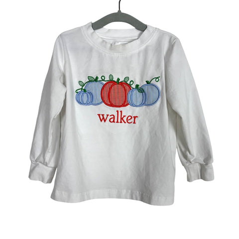 Cecil And Lou Walker Pumpkin Top + Light Blue Gingham Pants Set - Size 2T (See Notes)