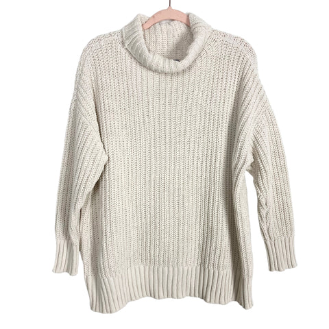 Aerie Cream Chunky Knit Turtleneck Sweater- Size XS