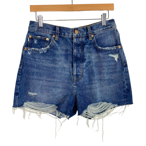 Lovers and Friends Distressed Jean Shorts- Size 28