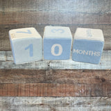 The Beaufort Bonnet Company Baylock Blocks