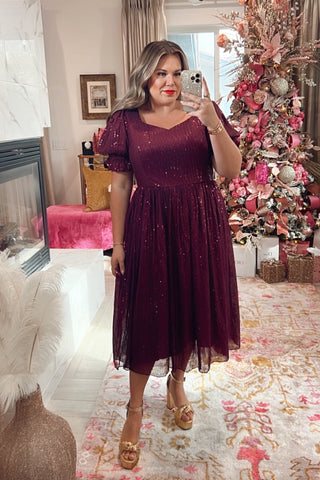 Ivy City Plum Sequin Dress NWT- Size XXL (sold out online)