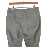 Ann Taylor Loft Gray Zipper Pockets Super Skinny Jeans- Size 30/10 Petite (Inseam 27”)