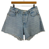 Abercrombie & Fitch The 90s Baggy Low Rise Raw Hem Denim Shorts- Size 32/14