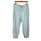 Lululemon Light Blue Joggers - Size 12 (Inseam 24" - See Notes)