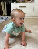 The Smocking Place Green Smocked Walker Tee- Size 6M (see notes)