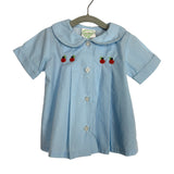 Grace & James Light Blue Gingham Pumpkin Top + Shorts Set - Size 12M