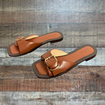 J Crew Callie Leather Buckle Sandals- Size 9 (sold out online)