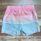 Rugged Butts Blue/Pink/White Striped Swim Shorts NWT- Size 18-24M