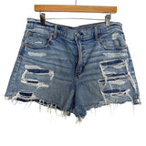 American Eagle Distressed Denim Shorts- Size 16