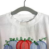 Cecil And Lou Walker Pumpkin Top + Light Blue Gingham Pants Set - Size 2T (See Notes)