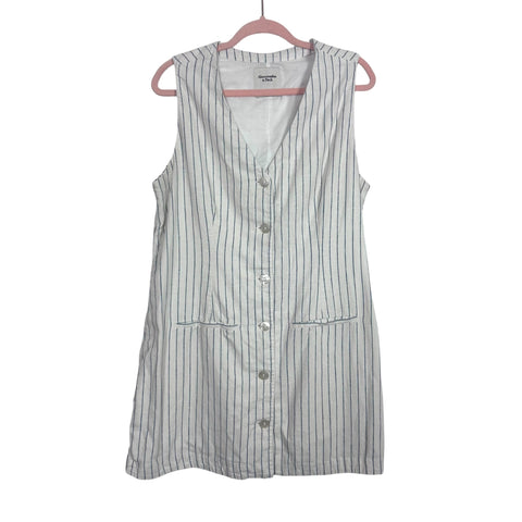 Abercrombie & Fitch Cream with Blue Striped Button Up Sleeveless Dress – The Saved Collection