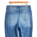 Eloquii Rhinestone Fringe Embellished Straight Leg Jeans-Size 14 (see notes, sold out online, Inseam 29”)