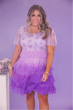Ivy City Purple Ombre Beaded Tiered Tulle Sarah Dress- Size ~XL (sold out online, no size tag, fits like an extra large, sold out online)