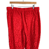 J Crew Red Crochet Lace Pull On Pants- Size 14 (sold out online, Inseam 26")