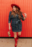 Retrofete Denim Belted Dress - Size XXL (Sold Out Online!)