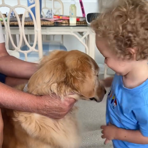 Rabbit Skins Blue Embroidered Fishing Lures Tee- Size 18M (see notes)