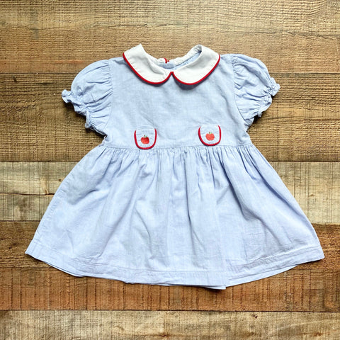 Bella Bliss Chambray Apple Collared Dress- Size 2 (see notes)