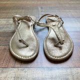 Cambiami Gold Thong Sandals- Size 8 (Like New Condition)