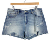 Time and Tru Light Wash Distressed High Rise Jean Shorts- Size 12 (sold out online)