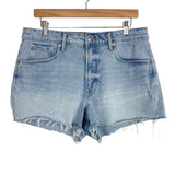 Free Assembly Light Wash Raw Hem Jean Shorts- Size 12