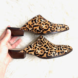 Matisse Animal Print Genuine Calf Hair Mule- Size 6.5