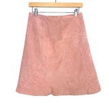 Ann Taylor Loft Pink Leather Lining Suede Skirt- Size 4P (see notes)