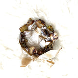 No Brand Set of Three Seashell Bracelets with Bow