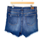 Judy Blue Raw Hem Denim Shorts- Size 2XL