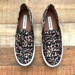 Steve Madden Animal Print Slip On Sneaker- Size 8.5