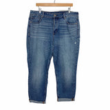 American Eagle Tomgirl Jeans NWT- Size 14 Short (Inseam 26")