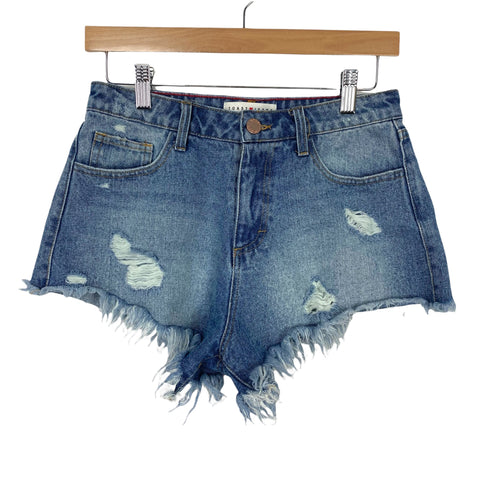 Toast Jeans Distressed Jean Shorts- Size S