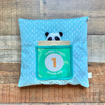 Panda Crate Mint Green Month Milestone Pillow