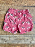 Gully Kids Camel Swim Shorts- Size 3T (see notes)