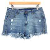 No Brand Distressed Jean Shorts- Size XL