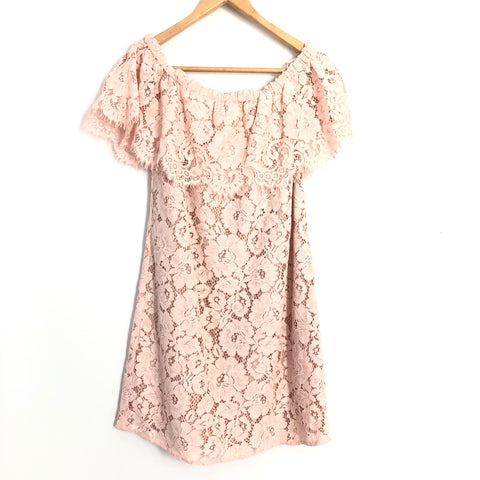 WAYF Blush Pink Lace Off the Shoulder Dress NWT- Size XS