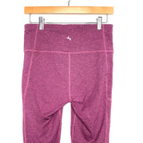 Danskin Mauve/White Striped Leggings- Size M (Inseam 23")