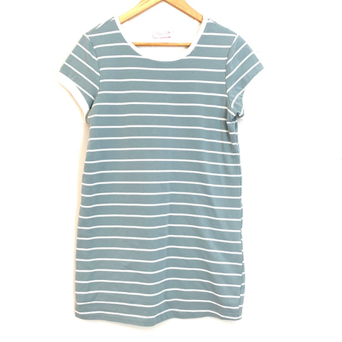 Pink Lily Blue Stripe T- Shirt Dress with Full Lining- Size S