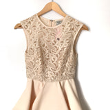 Angel Biba Lace Tiered Dress NWT- Size 6