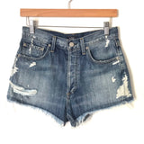 Agolde “Parker” Distressed Denim Cutoff Shorts- Size 24