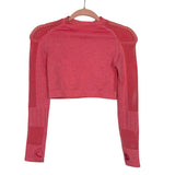 No Brand Heathered Pink Mesh Long Sleeve Crop Top- Size ~S (see notes, we have matching leggings)