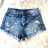 BlankNYC Faded Wash Wedge Short- Size 27