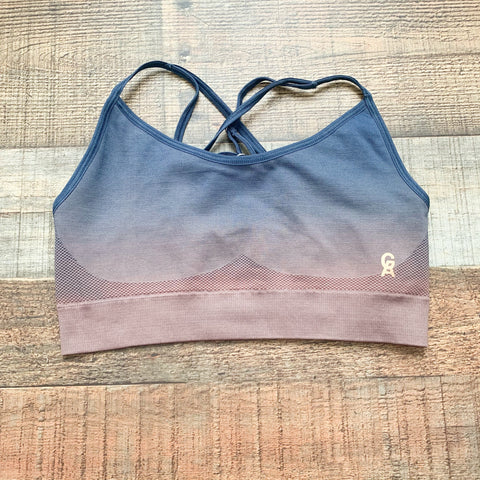 Good American Ombre Sports Bra- Size 0/1 (we have matching leggings)