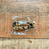No Brand Tortoise Tear Drop Hair Clip NEW