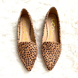 Ccocci Animal Print Pointed Flats- Size 7 (brand new condition)
