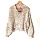 Main Strip Rainbow Flecked Knit Sweater Fringe Hem Sweater NWT- Size S